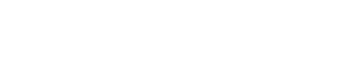 The Smart Home Logo